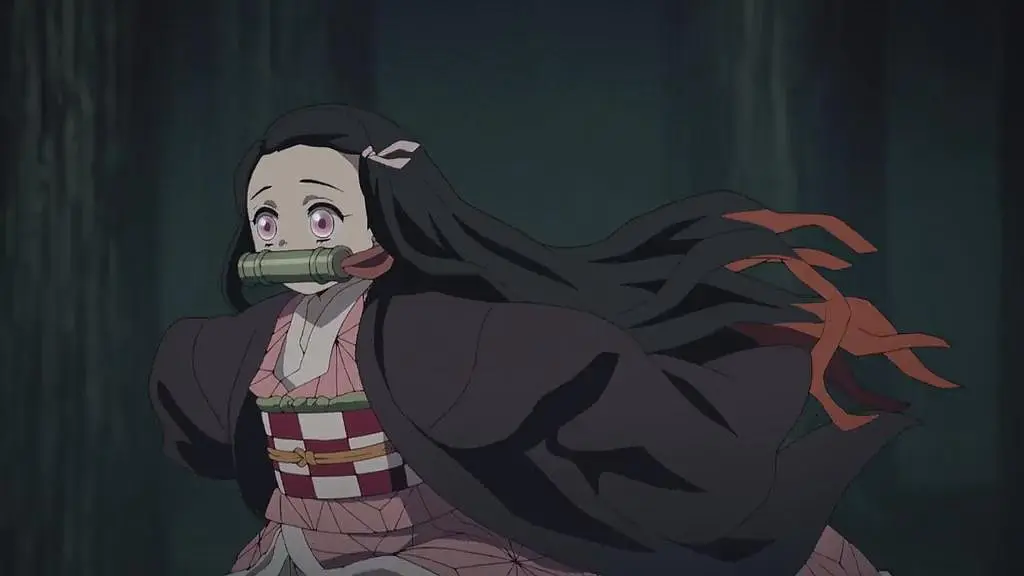 Demon Slayer: Kimetsu no Yaiba – The Fight Against Darkness