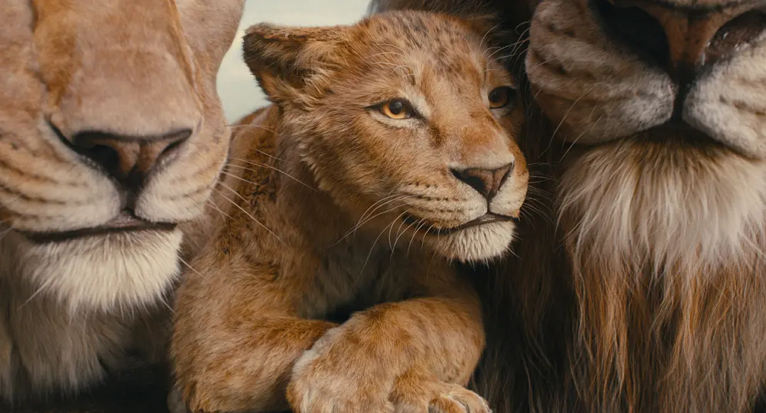 Mufasa: The Lion King – The Origin of a Legendary King