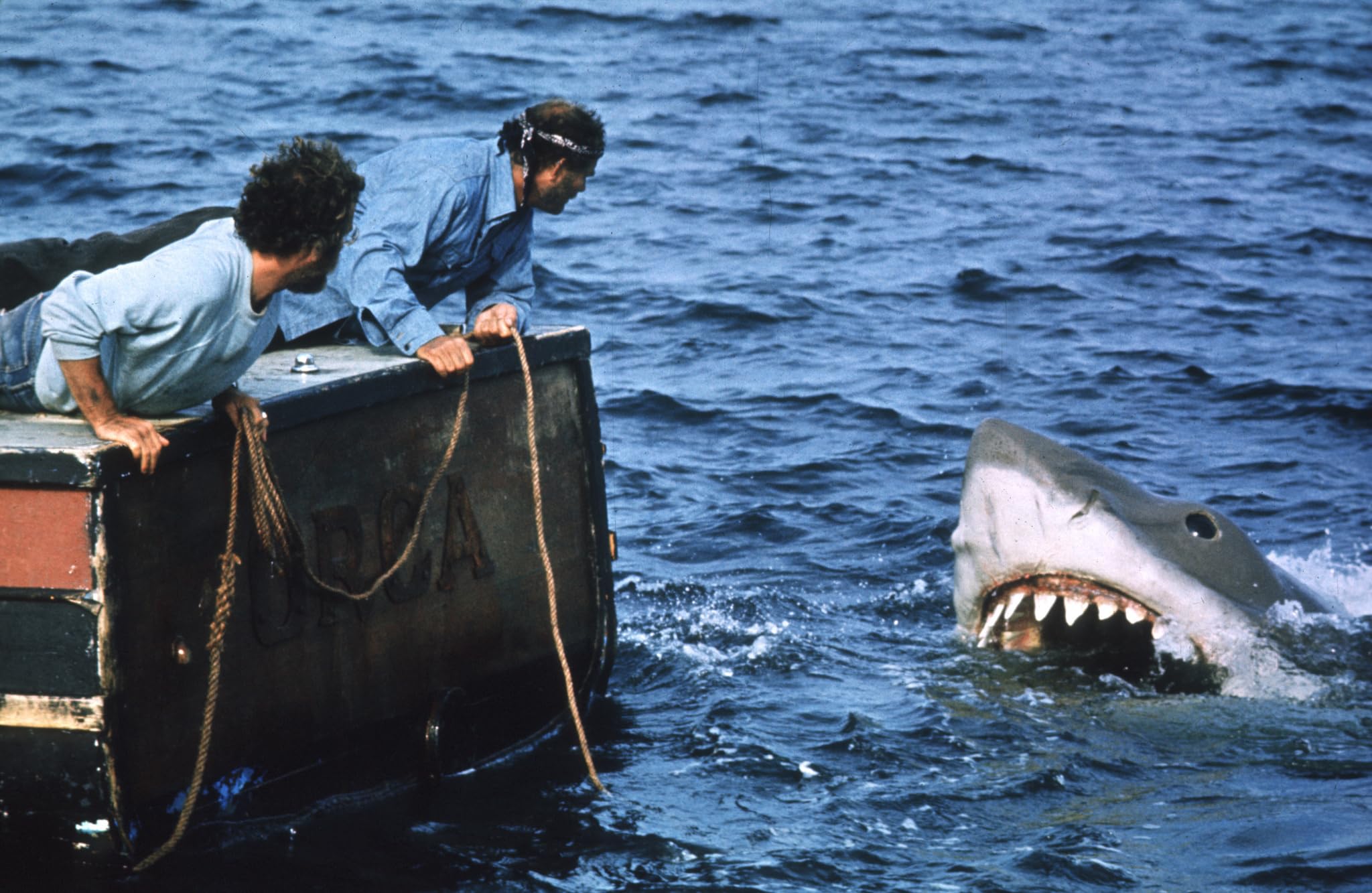 Jaws: The Thrilling Hunt for the Great White Shark
